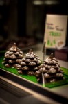 Snow Fallen Chocolate Trees